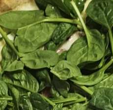 Nowości Podpłomyk kurczak szpinak